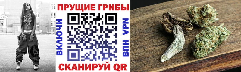 Галлюциногенные грибы мицелий  Лениногорск 