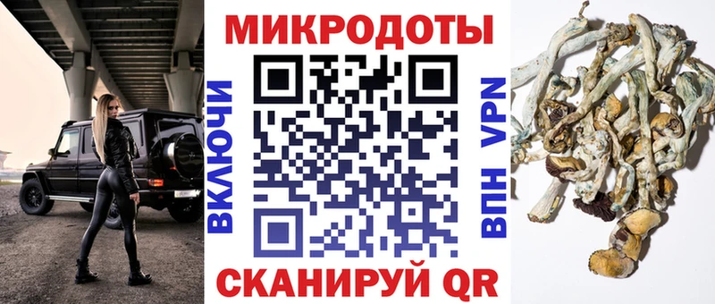 Галлюциногенные грибы Cubensis Лениногорск